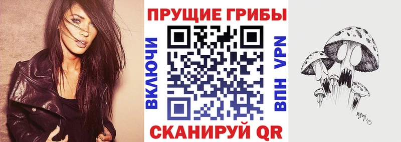 сайты даркнета как зайти  Волжск  Псилоцибиновые грибы прущие грибы 